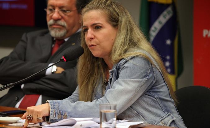 PLs Violência Contra a Mulher.jpg