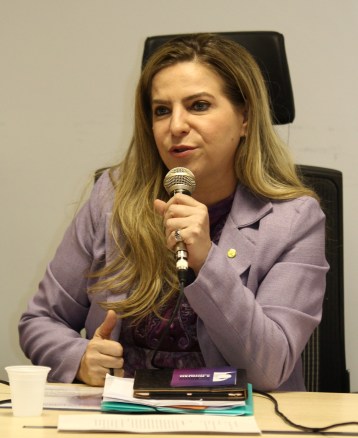 Luizianne Lins foto.jpg