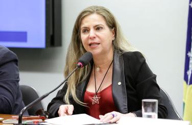 luizianne comissao de cultura ana javes