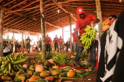 ze maria do tome frutas