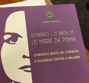 imagem_publicacao_leimariadapenha