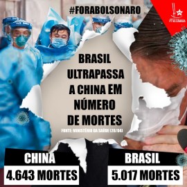 WhatsApp Image 2020-04-29 at 11.07.39